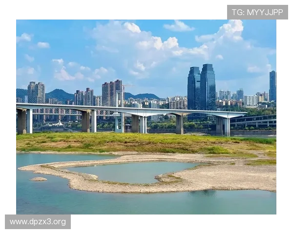 长江国际在重庆哪个区？详细地址及周边介绍